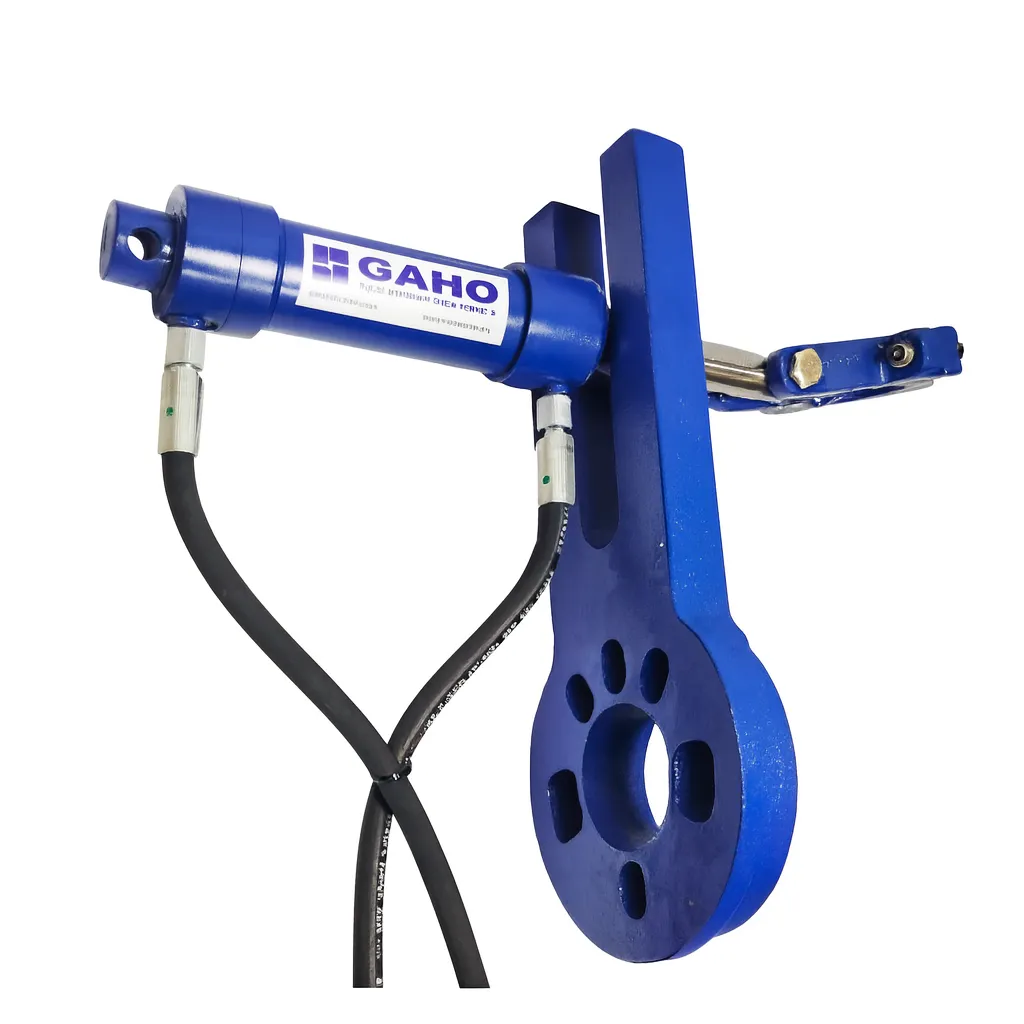 Camber and caster alignment tool